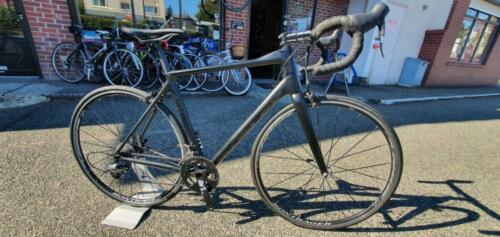 Parlee altum